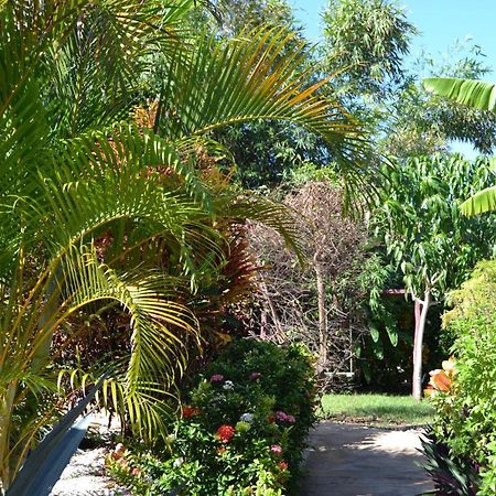 Ecovilla Coral Garden Баоруко Экстерьер фото