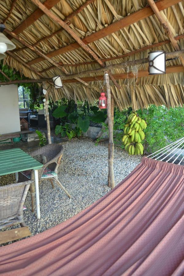 Ecovilla Coral Garden Баоруко Экстерьер фото