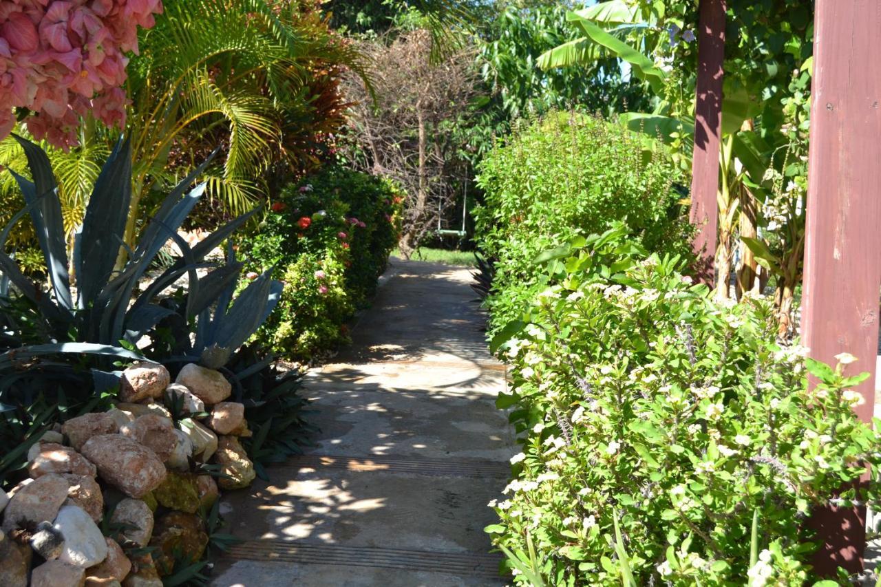 Ecovilla Coral Garden Баоруко Экстерьер фото