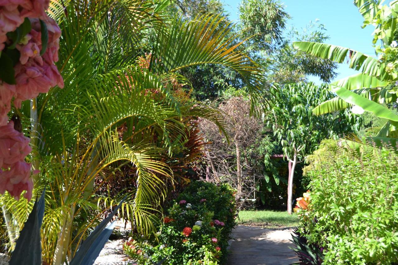 Ecovilla Coral Garden Баоруко Экстерьер фото