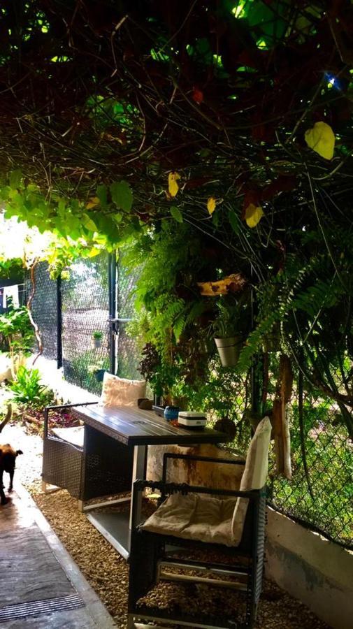 Ecovilla Coral Garden Баоруко Экстерьер фото
