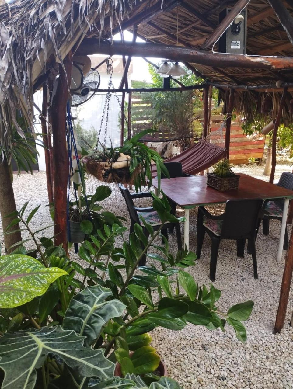 Ecovilla Coral Garden Баоруко Экстерьер фото