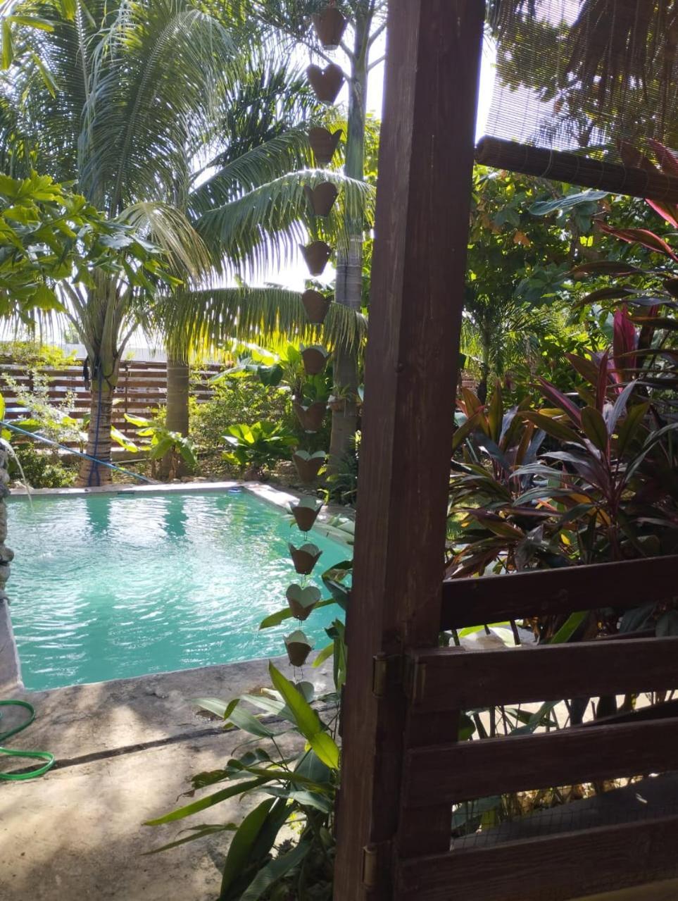 Ecovilla Coral Garden Баоруко Экстерьер фото